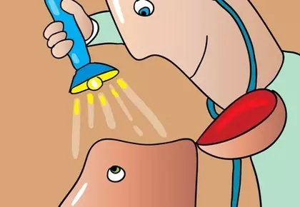 Интервью А.А.Белкина на радио Эхо Москвы