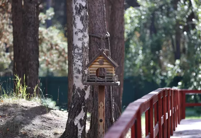 Прогулочная зона эргопарка