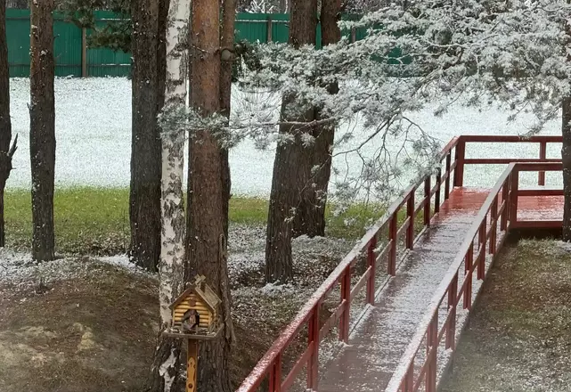 Территория эргопарка с адаптированными дорожками для пациентов