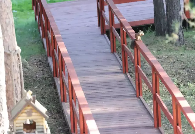 Территория клиники оборудована зонами отдыха и прогулок